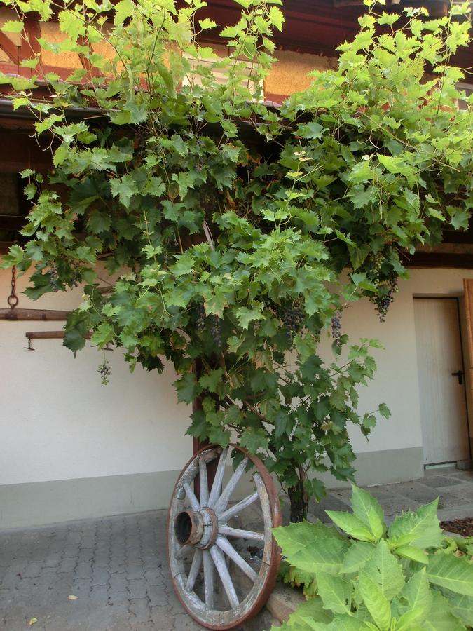 Zehnthof Herberg Geldersheim